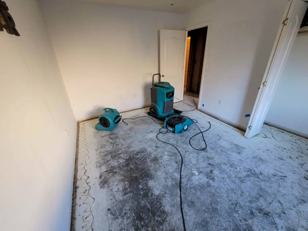 Best Sewage cleanup and water damage restoration  in Pleasant Grove, OH