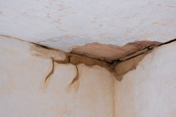 Best Carpet water damage restoration  in Pleasant Grove, OH
