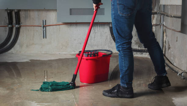 Best Water damage cleanup near me  in Pleasant Grove, OH