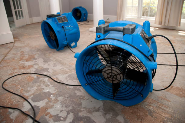 Best Local water damage restoration  in Pleasant Grove, OH
