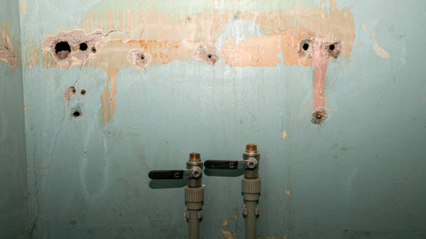 Best Professional water damage repair  in Pleasant Grove, OH