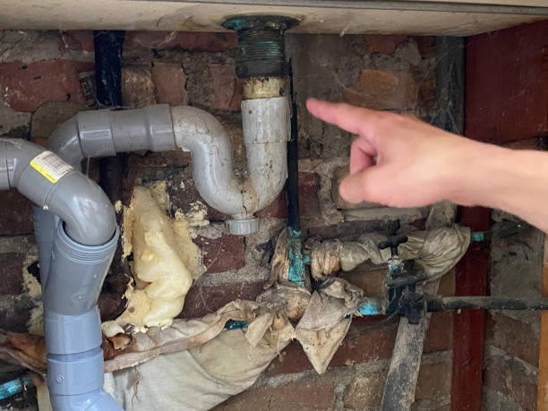 Best 24-hour water damage restoration  in Pleasant Grove, OH