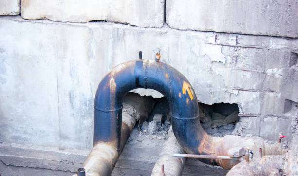 Best Mold removal after water damage  in Pleasant Grove, OH