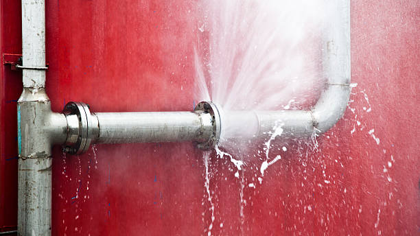Best Ceiling water damage repair  in Pleasant Grove, OH